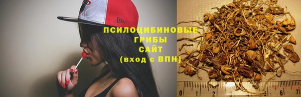 СК Баксан