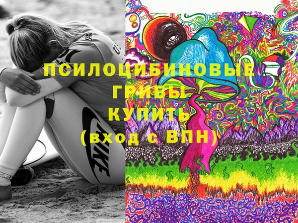ПСИЛОЦИБИНОВЫЕ ГРИБЫ Балабаново