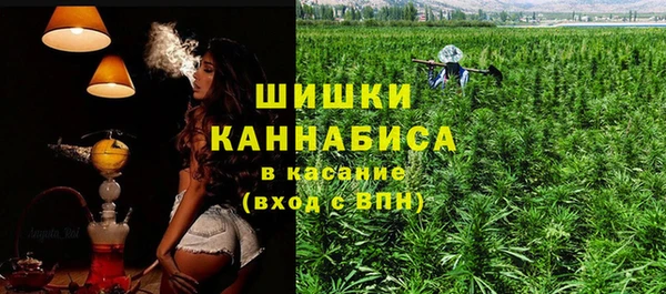 ПСИЛОЦИБИНОВЫЕ ГРИБЫ Балабаново